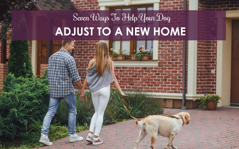 Seven Ways To Help Your Dog Adjust To A New Home